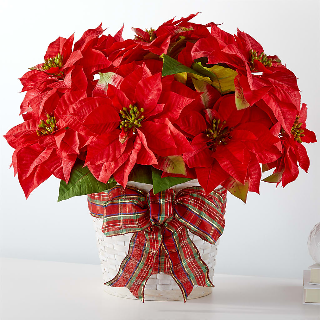 Happiest Holidays Poinsettia – Serrano Flowers, Riverside CA