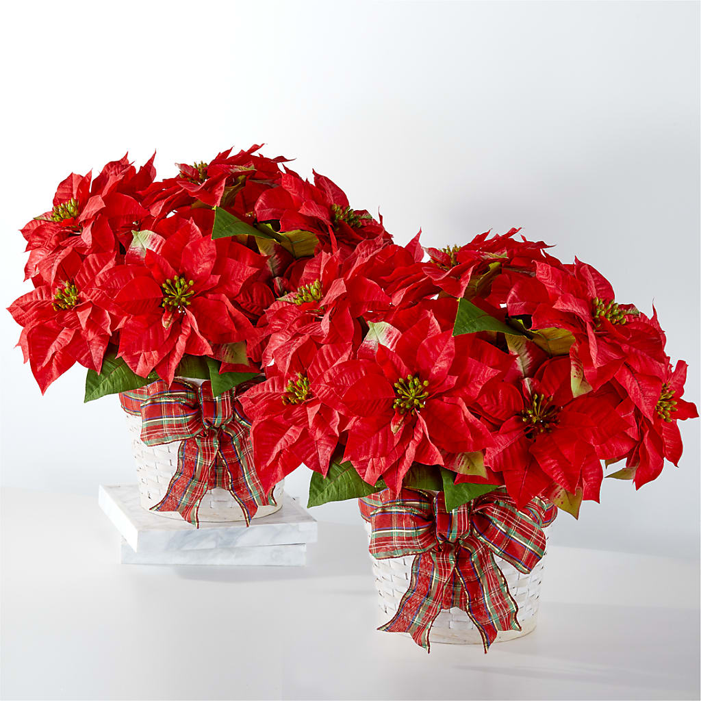 Happiest Holidays Poinsettia Bundle – Serrano Flowers, Riverside CA