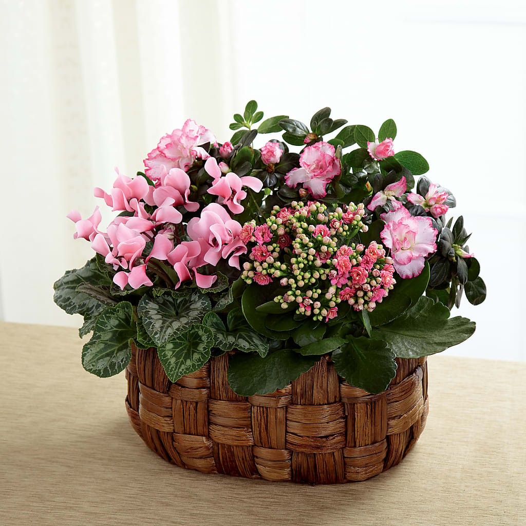 Pink Assortment – Serrano Flowers, Riverside CA