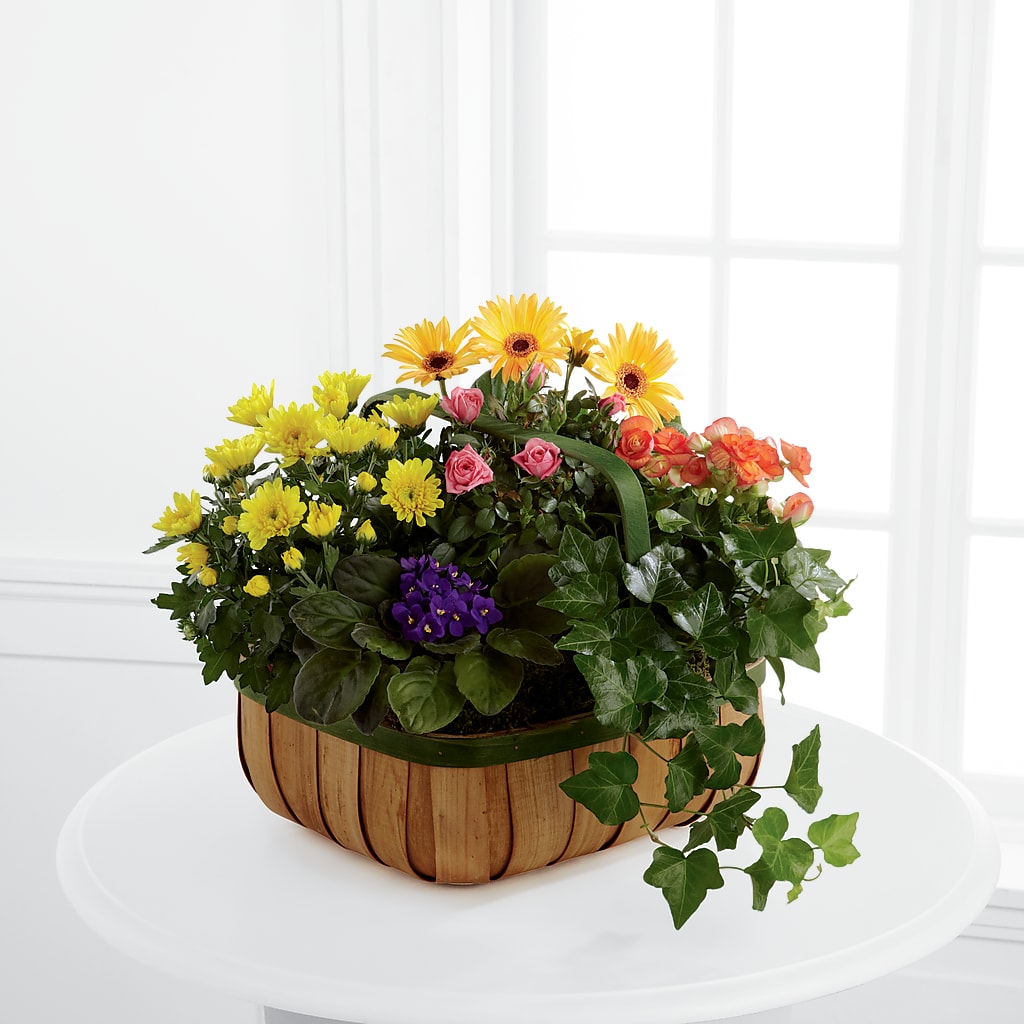 Gentle Blossoms Basket – Serrano Flowers, Riverside CA