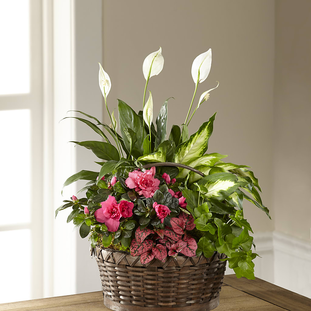 Dream in Pink Dishgarden – Serrano Flowers, Riverside CA