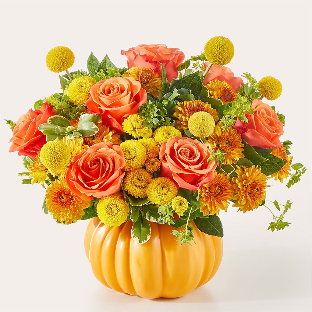 Gourdgeous Pumpkin – Serrano Flowers, Riverside CA