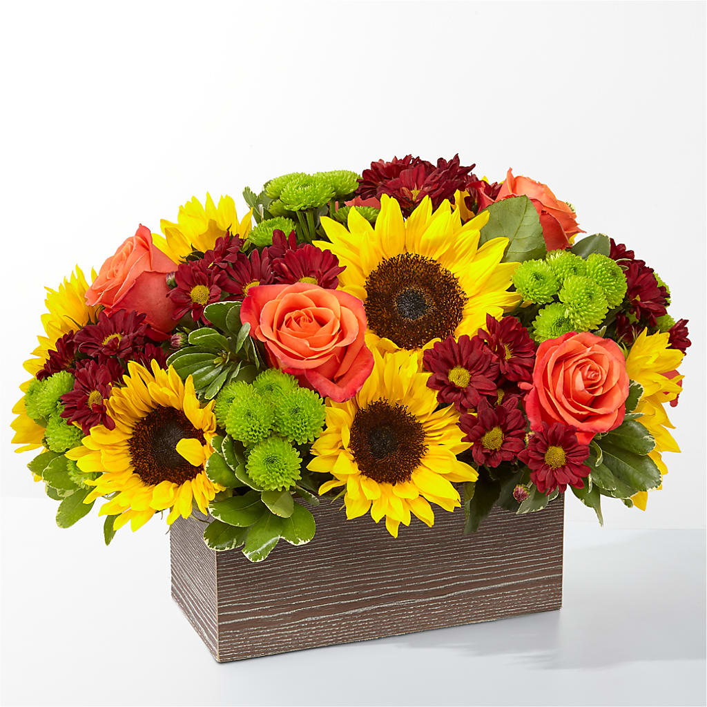 Happy Harvest Garden – Serrano Flowers, Riverside CA