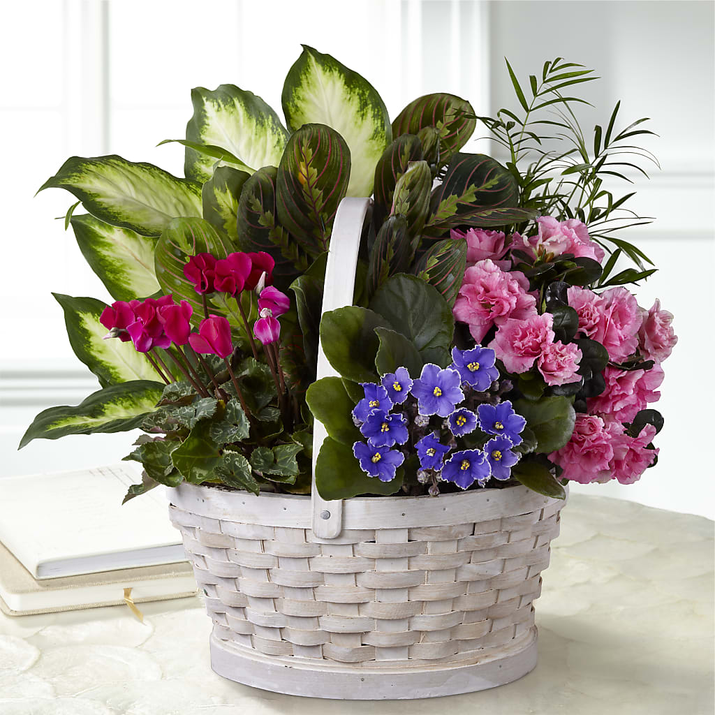 Peaceful Garden Planter – Serrano Flowers, Riverside CA