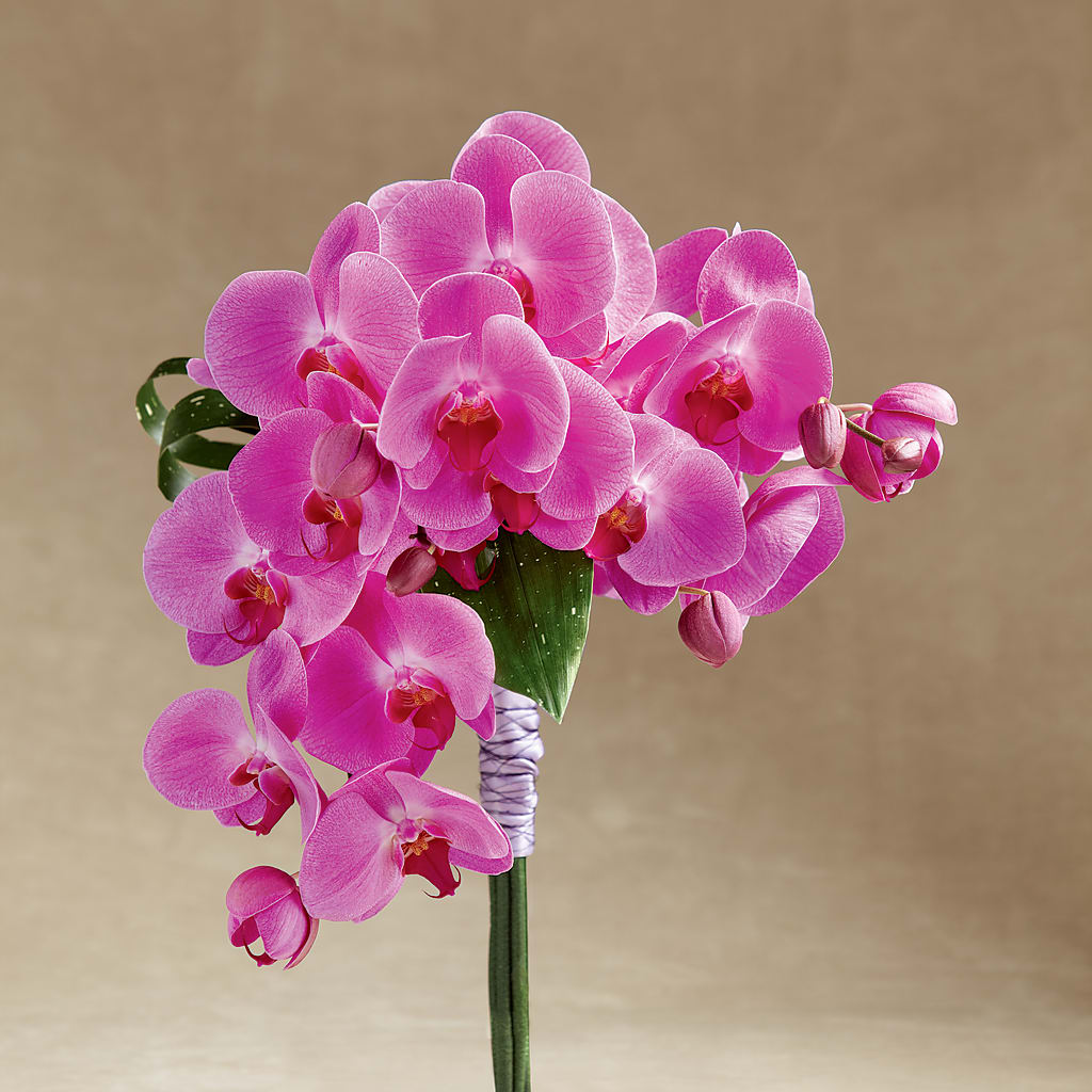 Glorious Bouquet – Serrano Flowers, Riverside CA