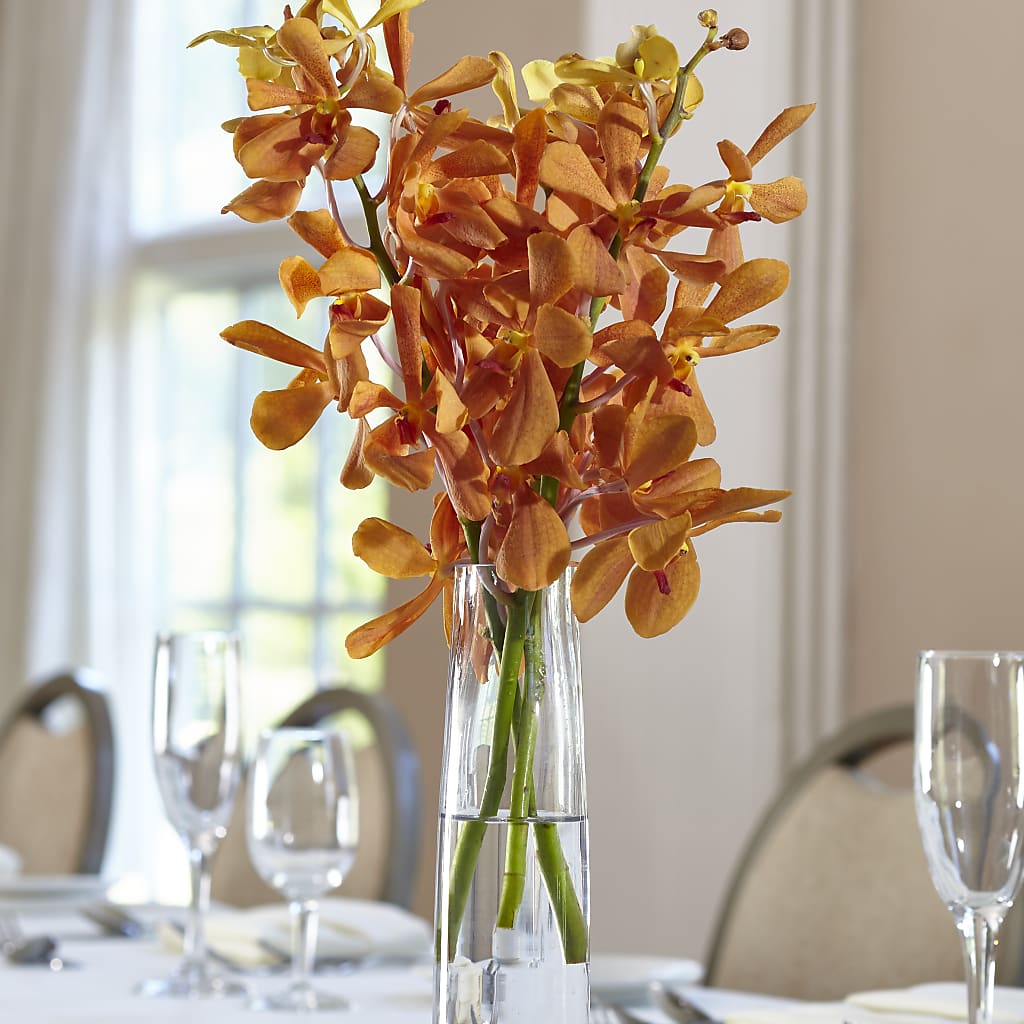 Orange Mokara Bud Vase – Serrano Flowers, Riverside CA
