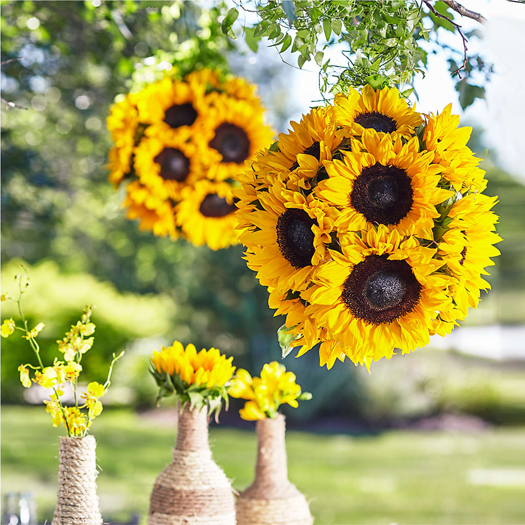 Sublime Garden Hanging Arrangement – Serrano Flowers, Riverside CA