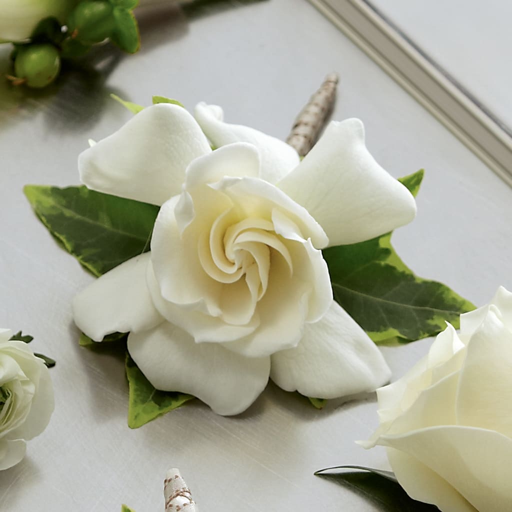 Gardenia Boutonniere – Serrano Flowers, Riverside CA