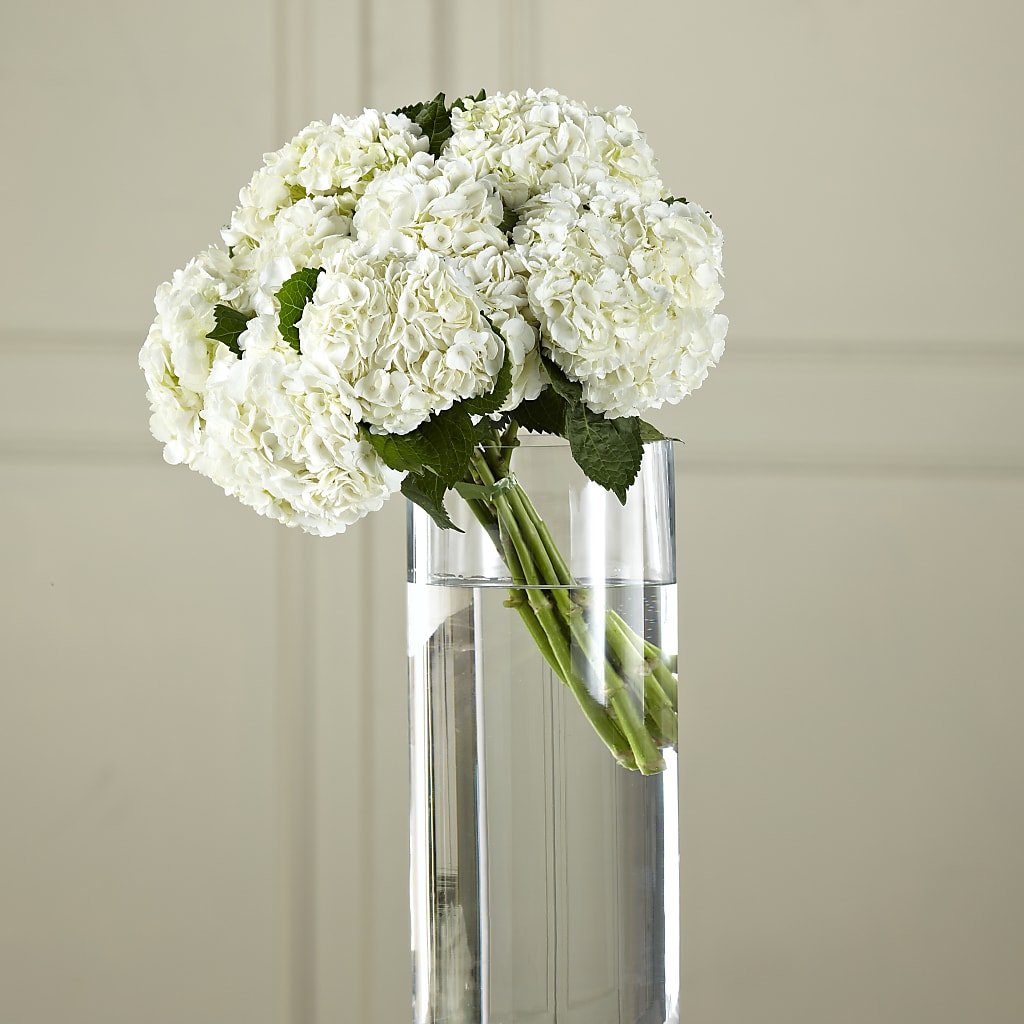 White Hydrangea Hand-Tied Bouquet – Serrano Flowers, Riverside CA