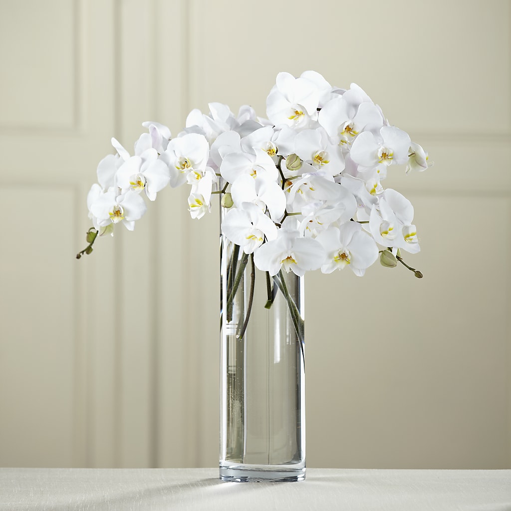 White Phalaenopsis Bouquet – Serrano Flowers, Riverside CA