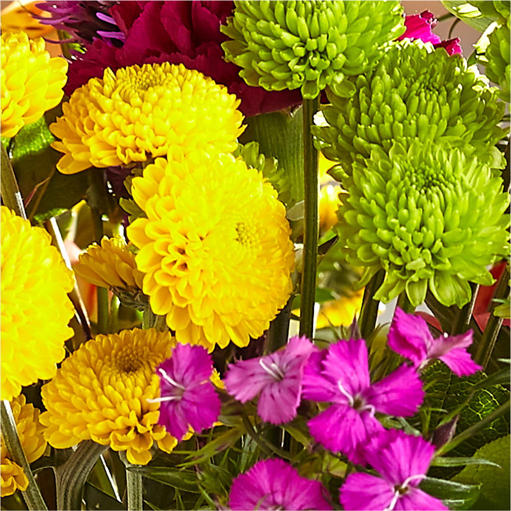 Bold & Bright – A Florist Original –  Serrano Flowers, Riverside CA