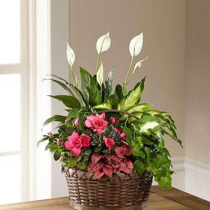 Dream in Pink Dishgarden –  Serrano Flowers, Riverside CA