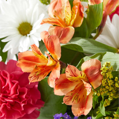 Oopsie Daisy Box Bouquet –  Serrano Flowers, Riverside CA