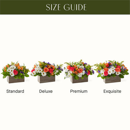 Oopsie Daisy Box Bouquet –  Serrano Flowers, Riverside CA