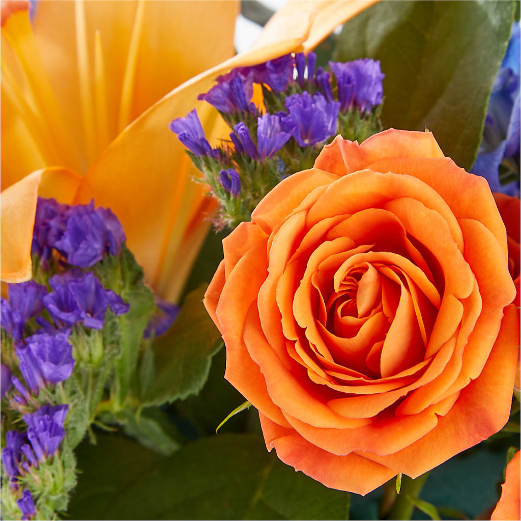 Radiant Citrus Box Bouquet –  Serrano Flowers, Riverside CA