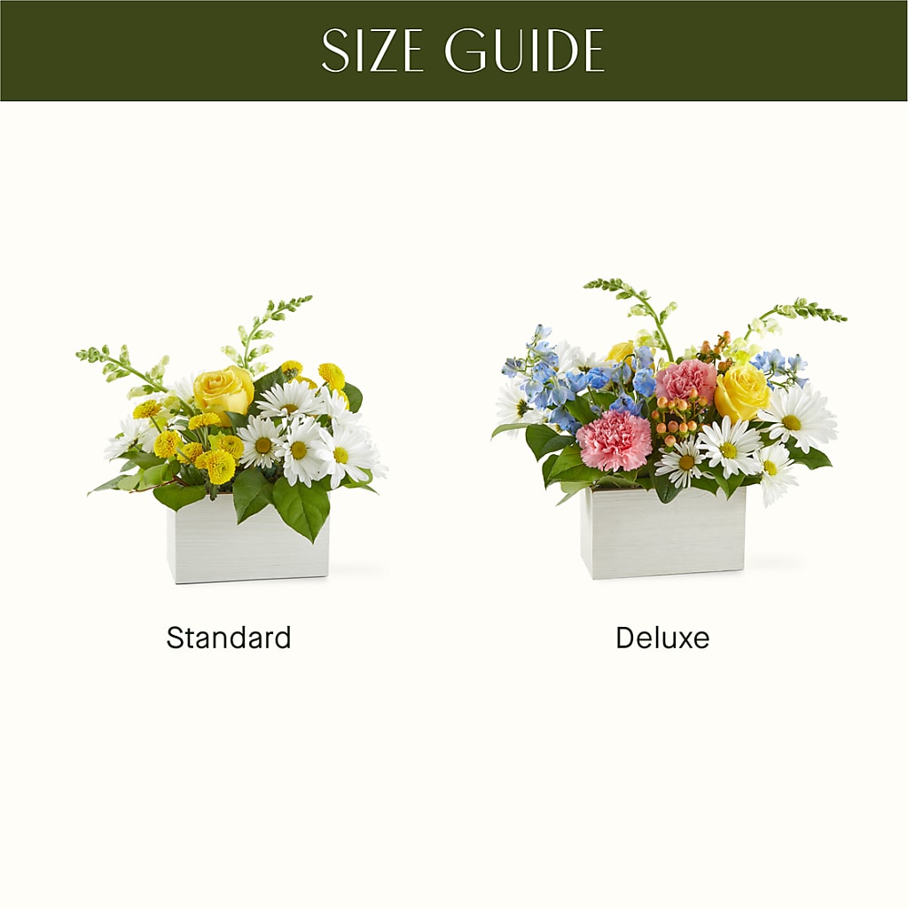 Sun Salutation Box Bouquet –  Serrano Flowers, Riverside CA