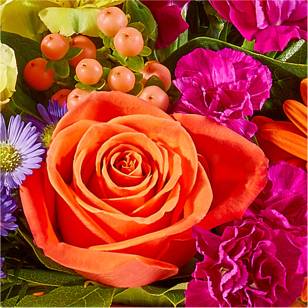 Tricks & Treats Pumpkin –  Serrano Flowers, Riverside CA