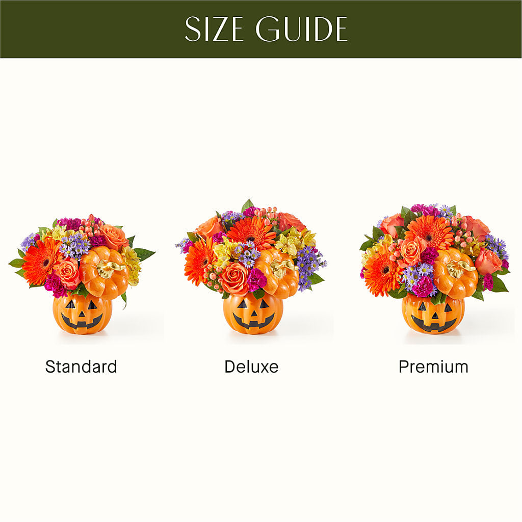 Tricks & Treats Pumpkin –  Serrano Flowers, Riverside CA