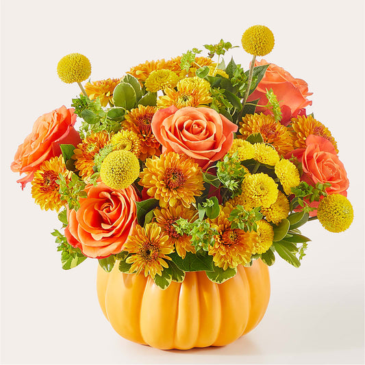 Gourdgeous Pumpkin –  Serrano Flowers, Riverside CA