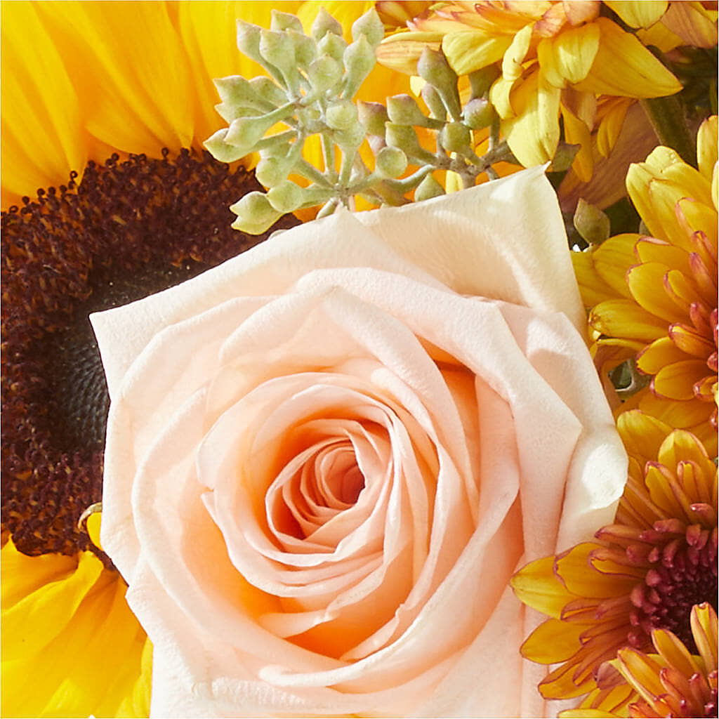 Pumpkin to Talk About Bouquet –  Serrano Flowers, Riverside CA