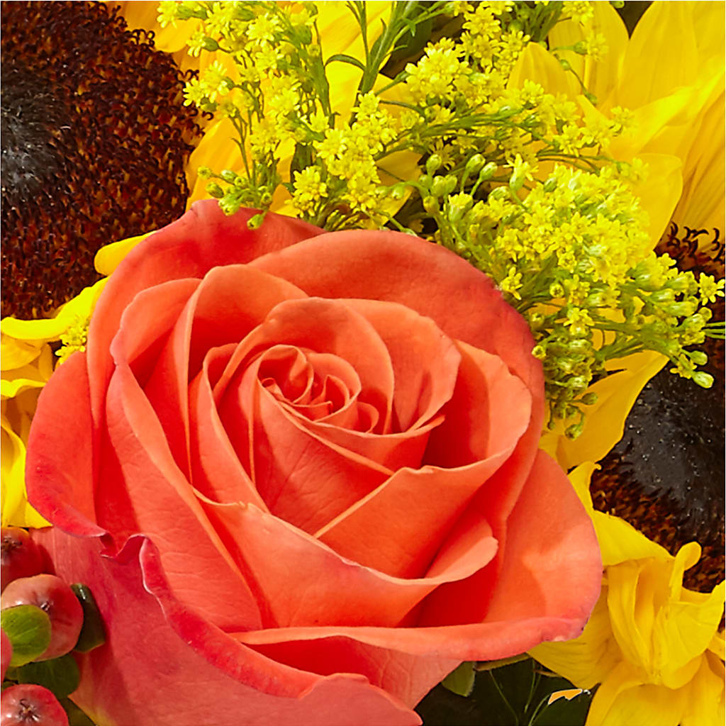 Pick of the Patch Pumpkin Bouquet –  Serrano Flowers, Riverside CA