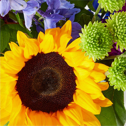 Catching Rays Bouquet –  Serrano Flowers, Riverside CA