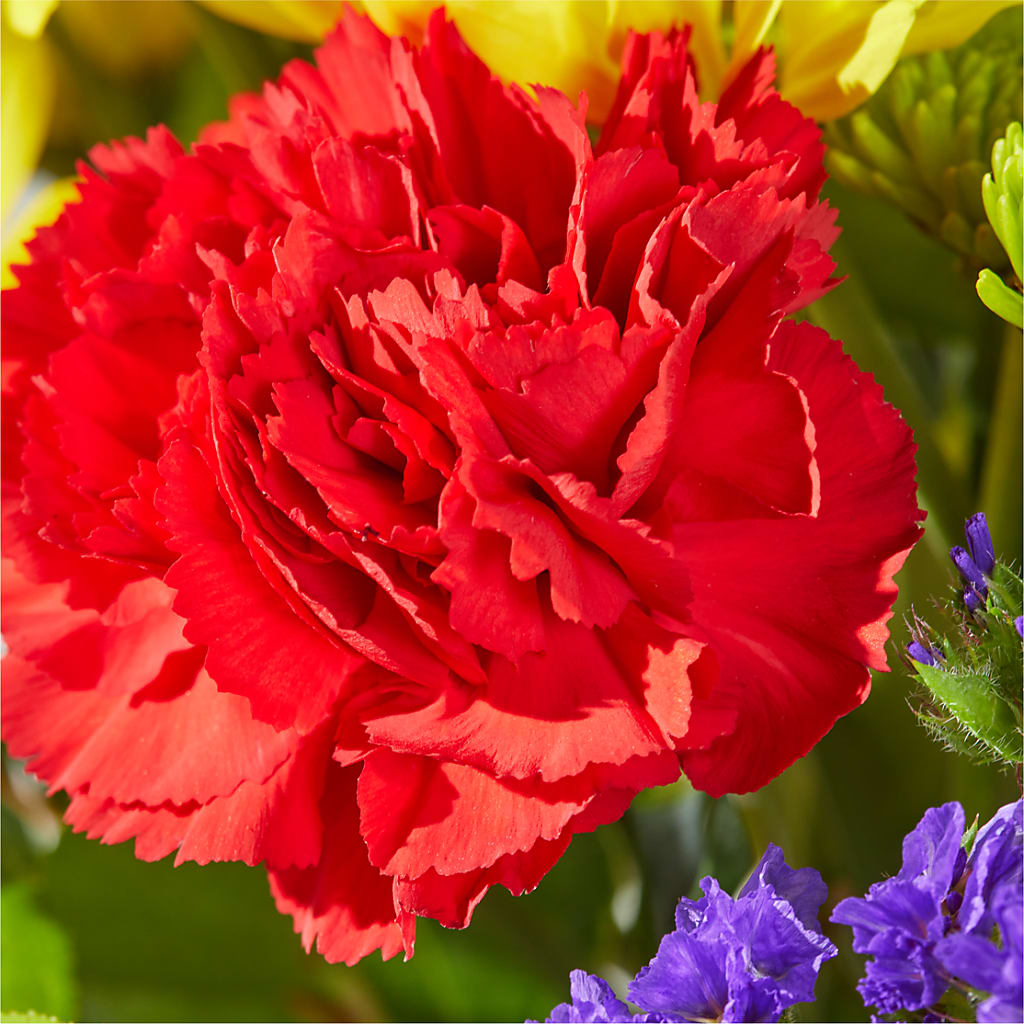 Brighter Days Bouquet –  Serrano Flowers, Riverside CA
