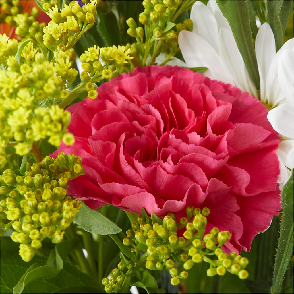 Oopsie Daisy Bouquet –  Serrano Flowers, Riverside CA