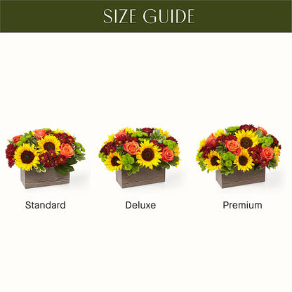 Happy Harvest Garden –  Serrano Flowers, Riverside CA