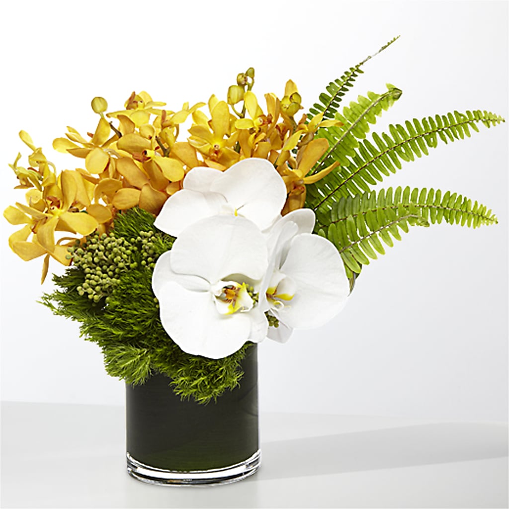 The Tropics –  Serrano Flowers, Riverside CA