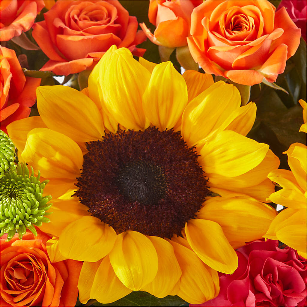 Sun-drenched Blooms Box Bouquet –  Serrano Flowers, Riverside CA