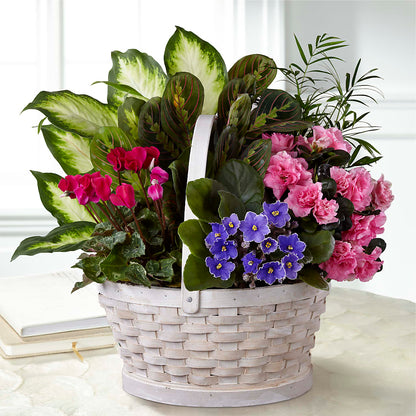 Peaceful Garden Planter –  Serrano Flowers, Riverside CA