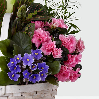 Peaceful Garden Planter –  Serrano Flowers, Riverside CA
