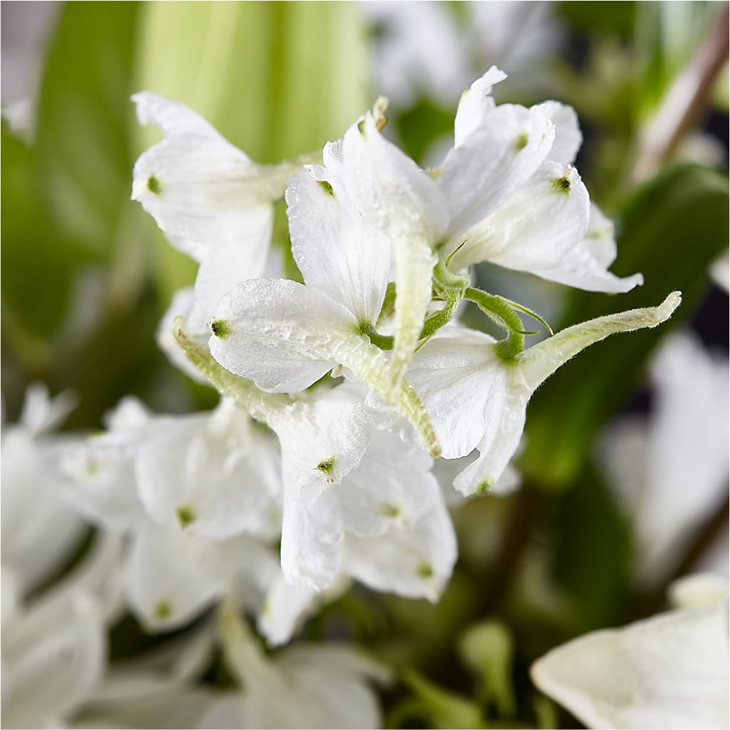 Classic Ivory – A Florist Original –  Serrano Flowers, Riverside CA
