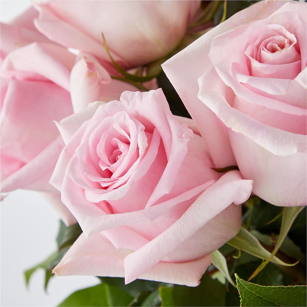 Picture Perfect Pink Rose Bouquet –  Serrano Flowers, Riverside CA