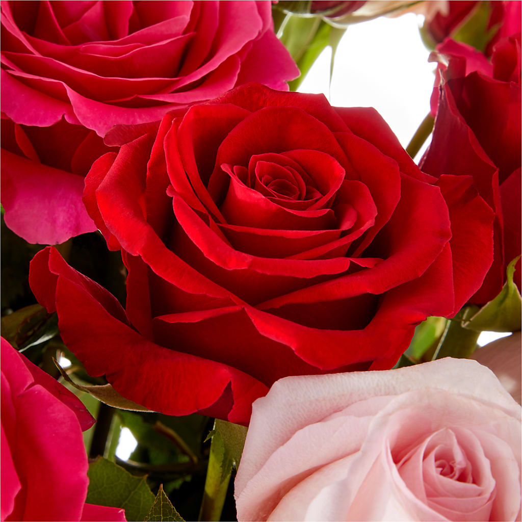 Love Notes Rose Bouquet –  Serrano Flowers, Riverside CA
