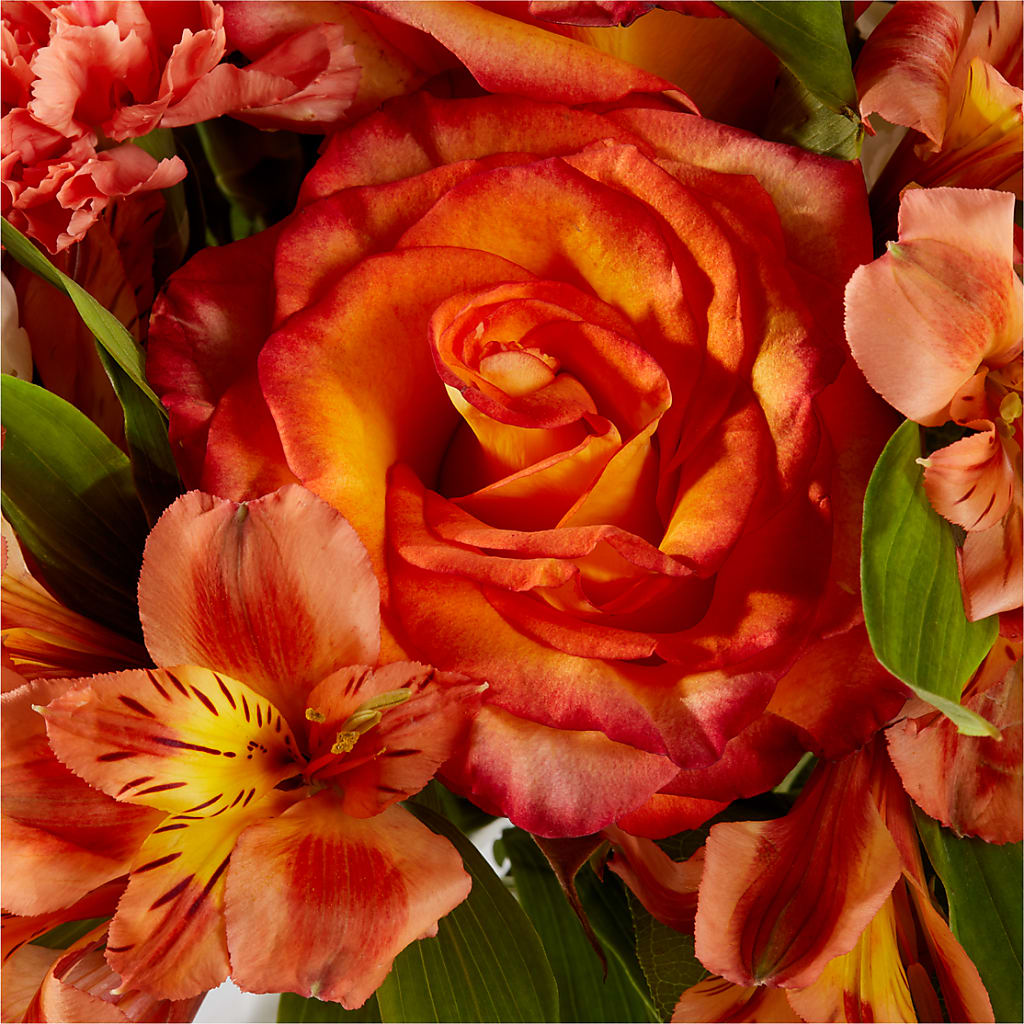 Apricot Glow Bouquet –  Serrano Flowers, Riverside CA