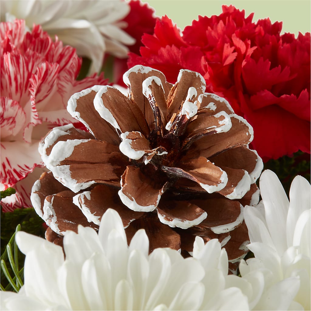 Candy Cane Lane Bouquet –  Serrano Flowers, Riverside CA