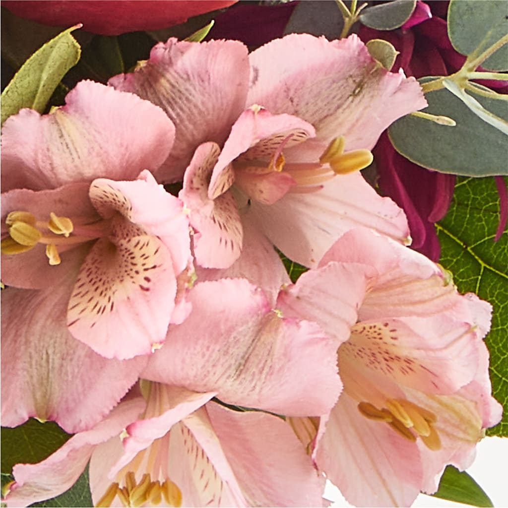Berry Cobbler Bouquet –  Serrano Flowers, Riverside CA