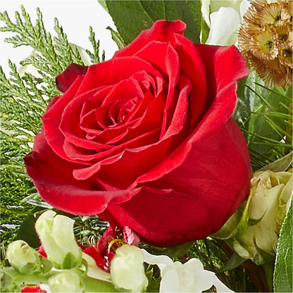 Deck the Halls Bouquet –  Serrano Flowers, Riverside CA