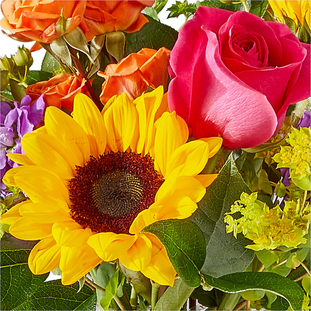Vibrant Greetings Bouquet –  Serrano Flowers, Riverside CA