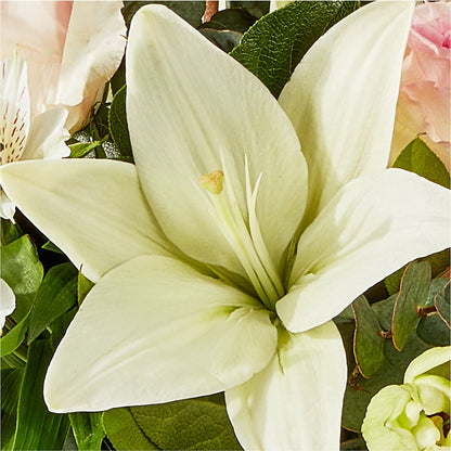 Ballet Slippers Bouquet –  Serrano Flowers, Riverside CA