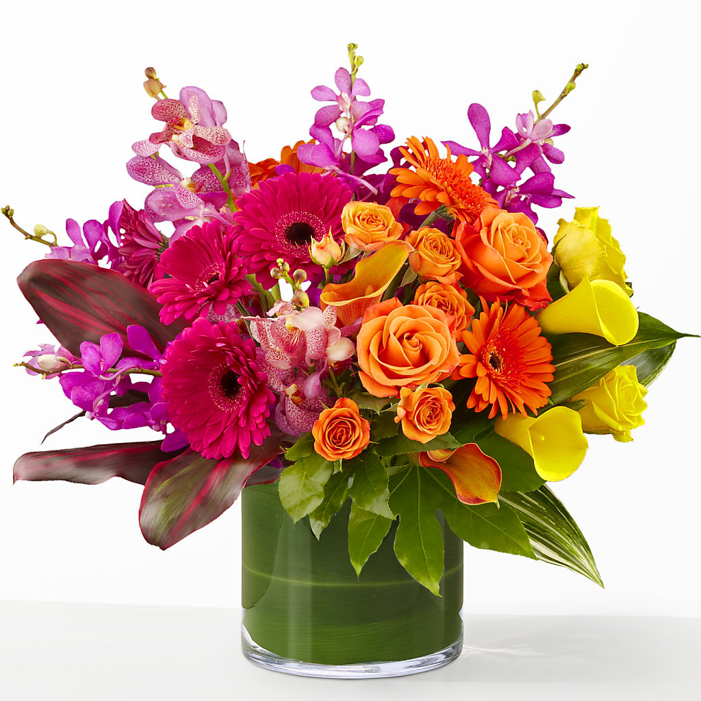 The Mosaic –  Serrano Flowers, Riverside CA