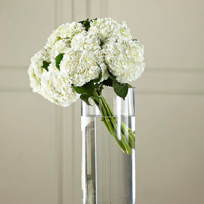 White Hydrangea Hand-Tied Bouquet –  Serrano Flowers, Riverside CA